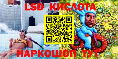 шишки Нальчик