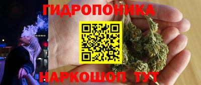шишки Нальчик